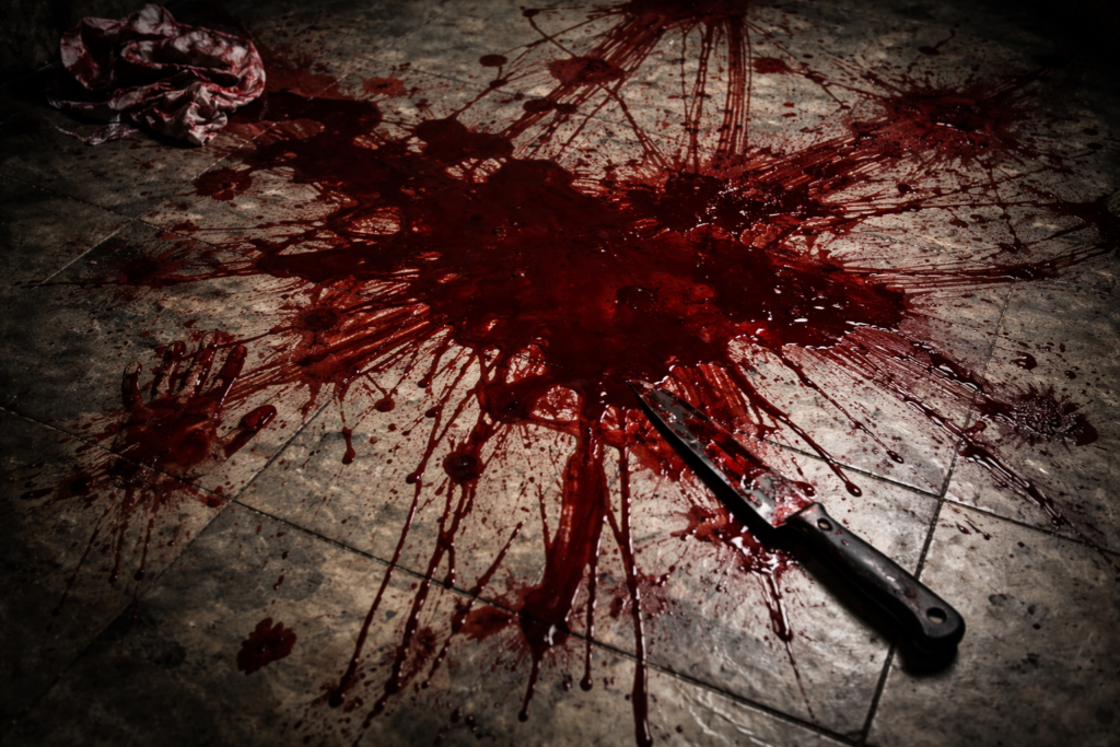 O Segredo da Empregada 